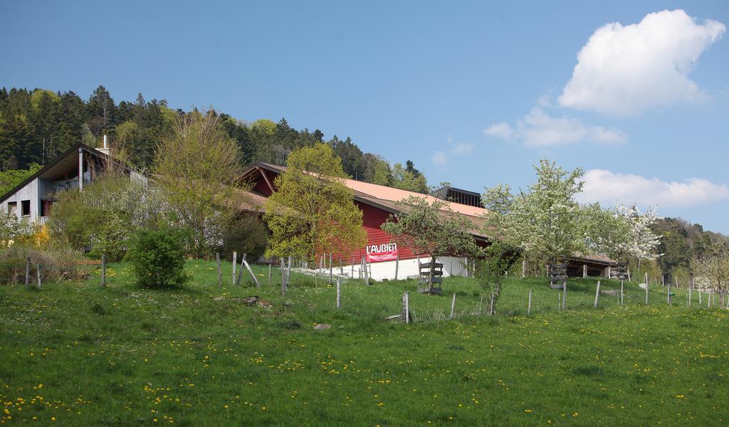 EcoHotel L’Aubier Montézillon Exterior foto